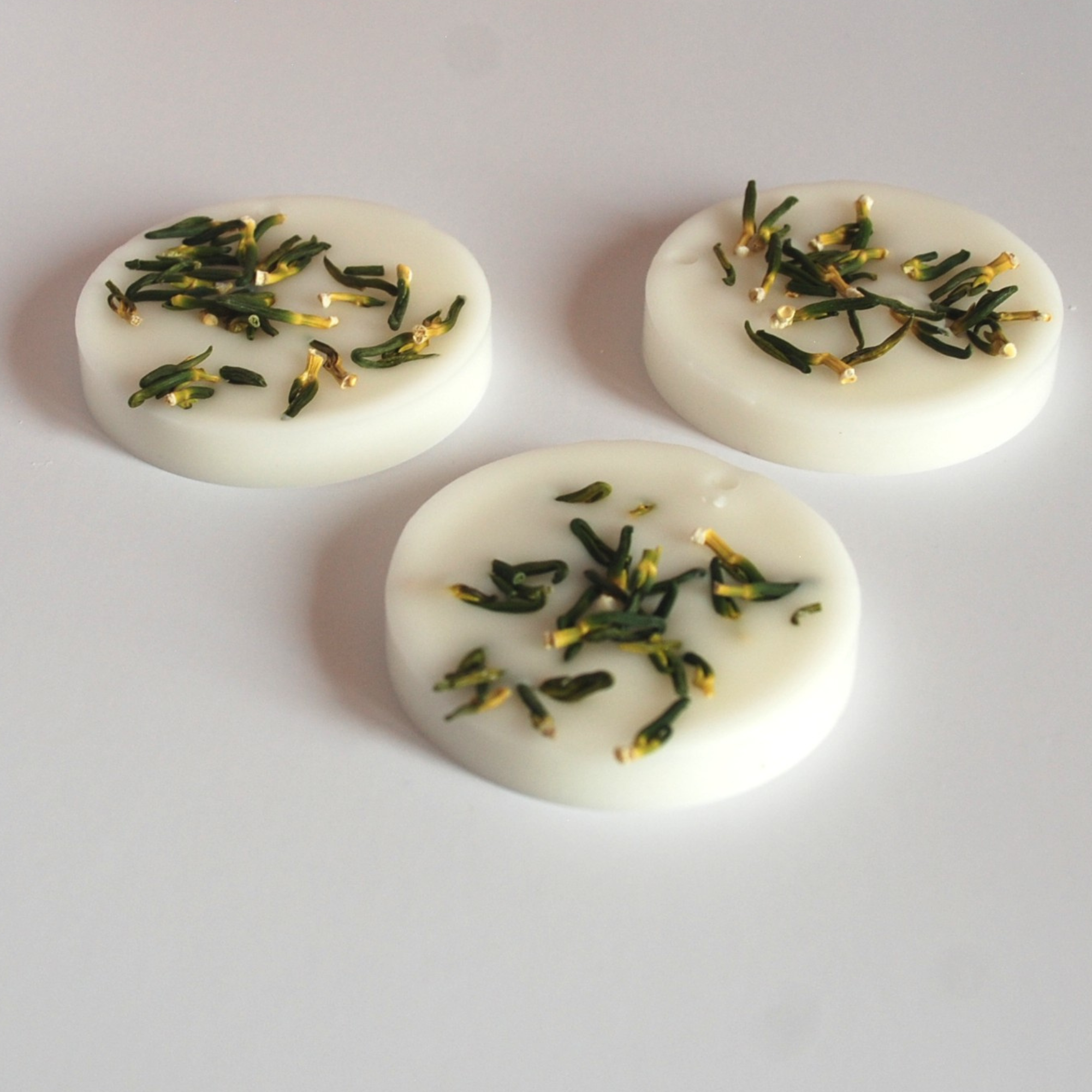 The Citronnelle Sachet — Botanical Wax, Real Dried Botanicals