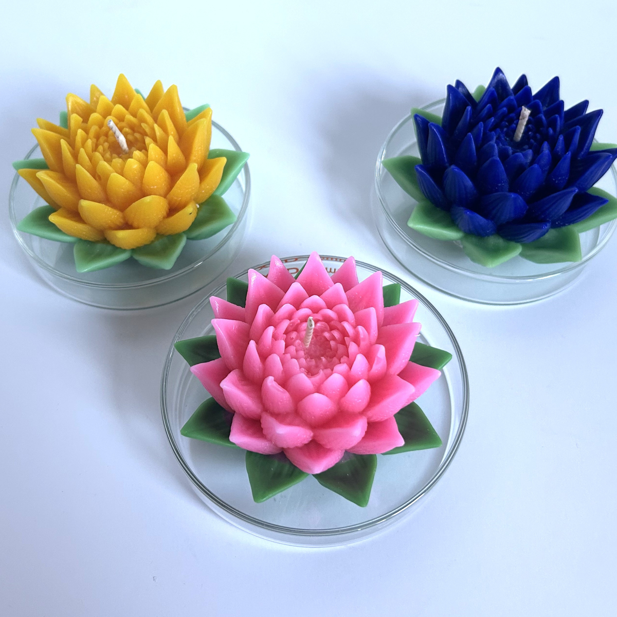 The Nénuphar Candle — Hand-Poured Soy Water Lily
