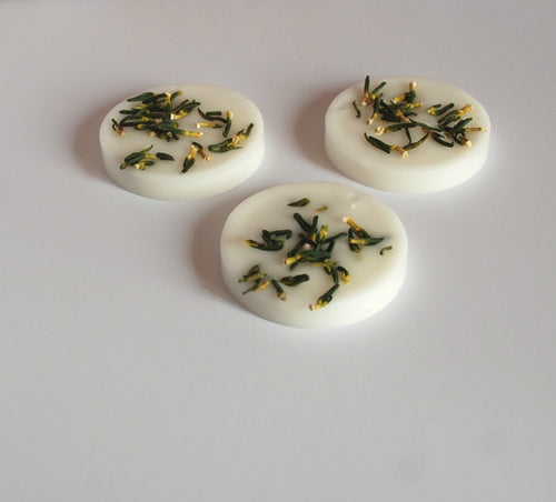 The Citronnelle Sachet — Botanical Wax, Real Dried Botanicals