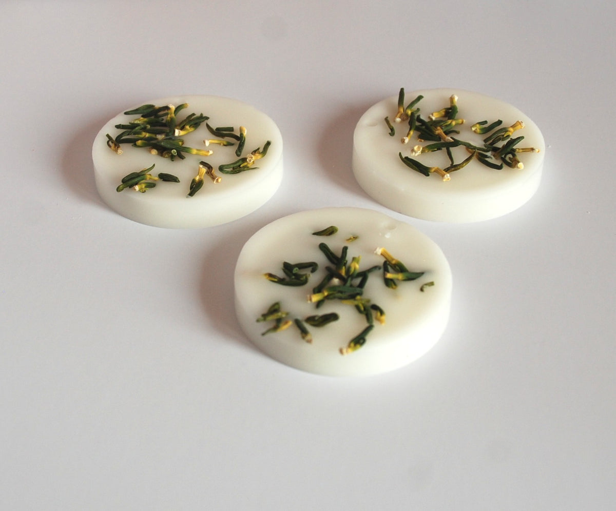 The Citronnelle Sachet — Botanical Wax, Real Dried Botanicals